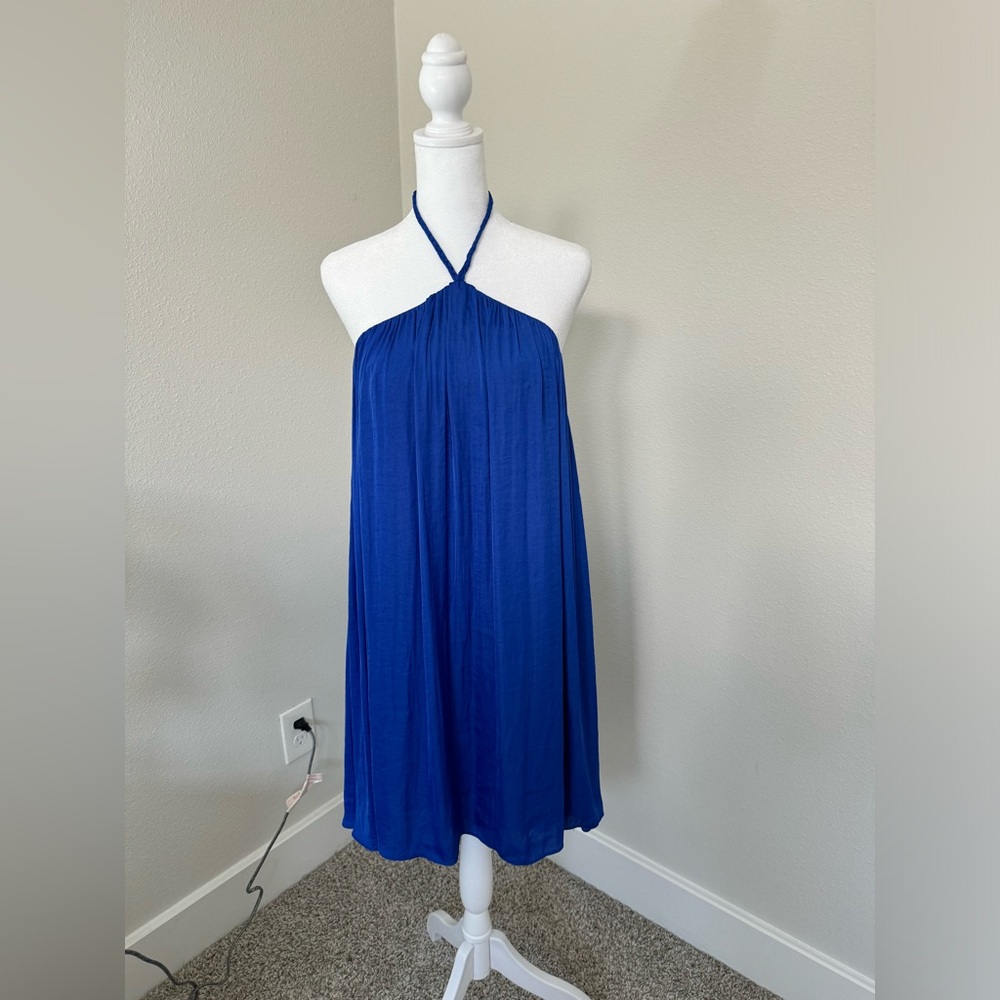 Naked Zebra Royal Blue Dress